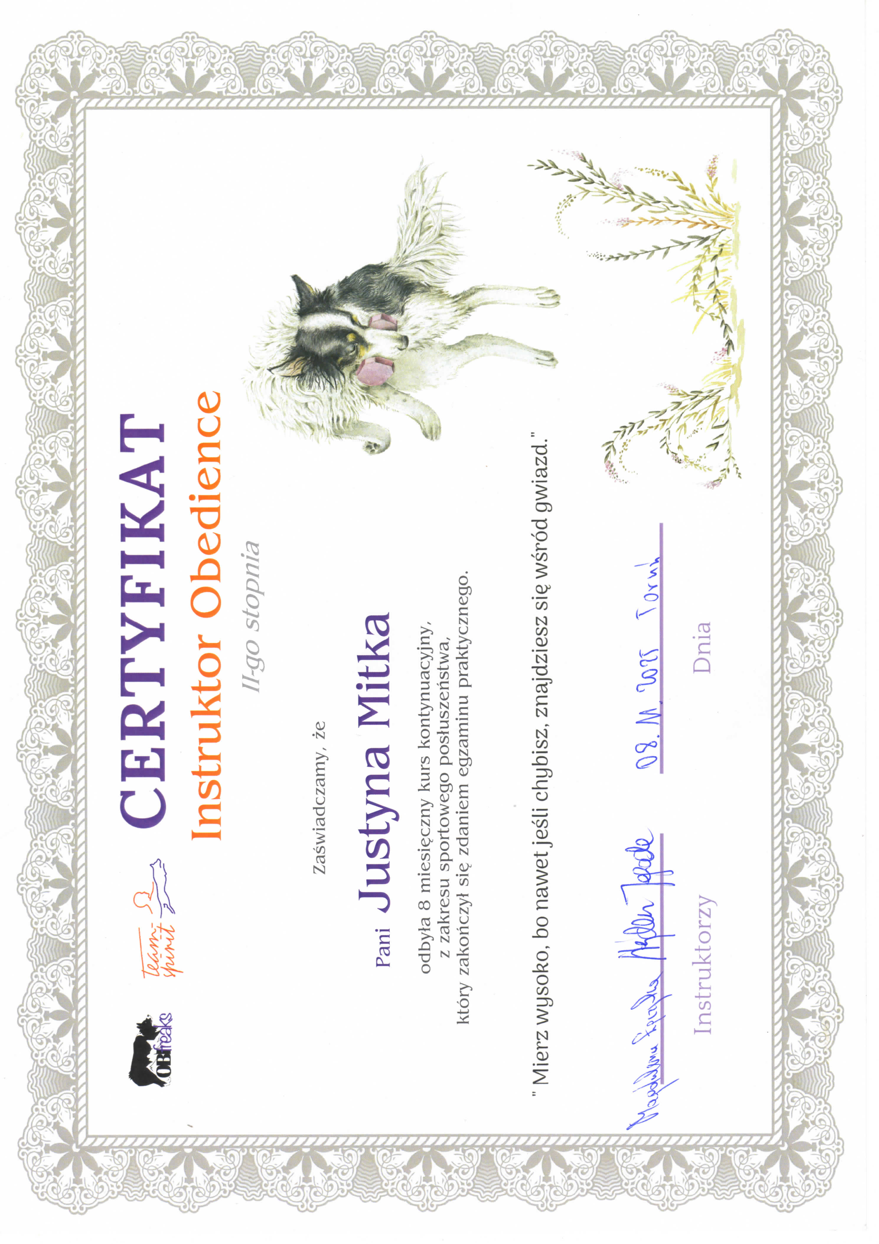 Certyfikat: Instruktor Obedience II stopnia
